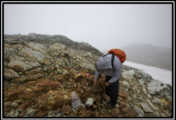 2013 Summer Work Program