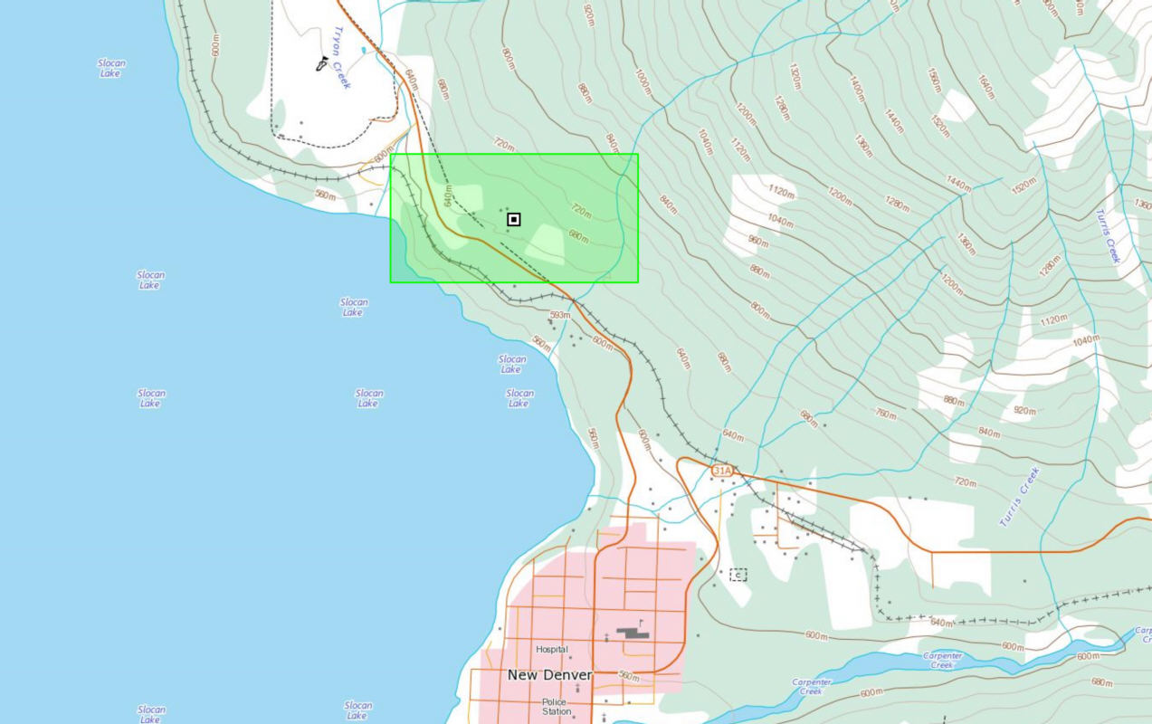 Bralorne/Gold Bridge Area Claims